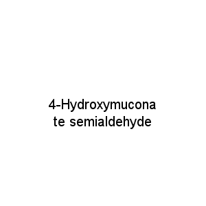 4-Hydroxymuconate semialdehyde